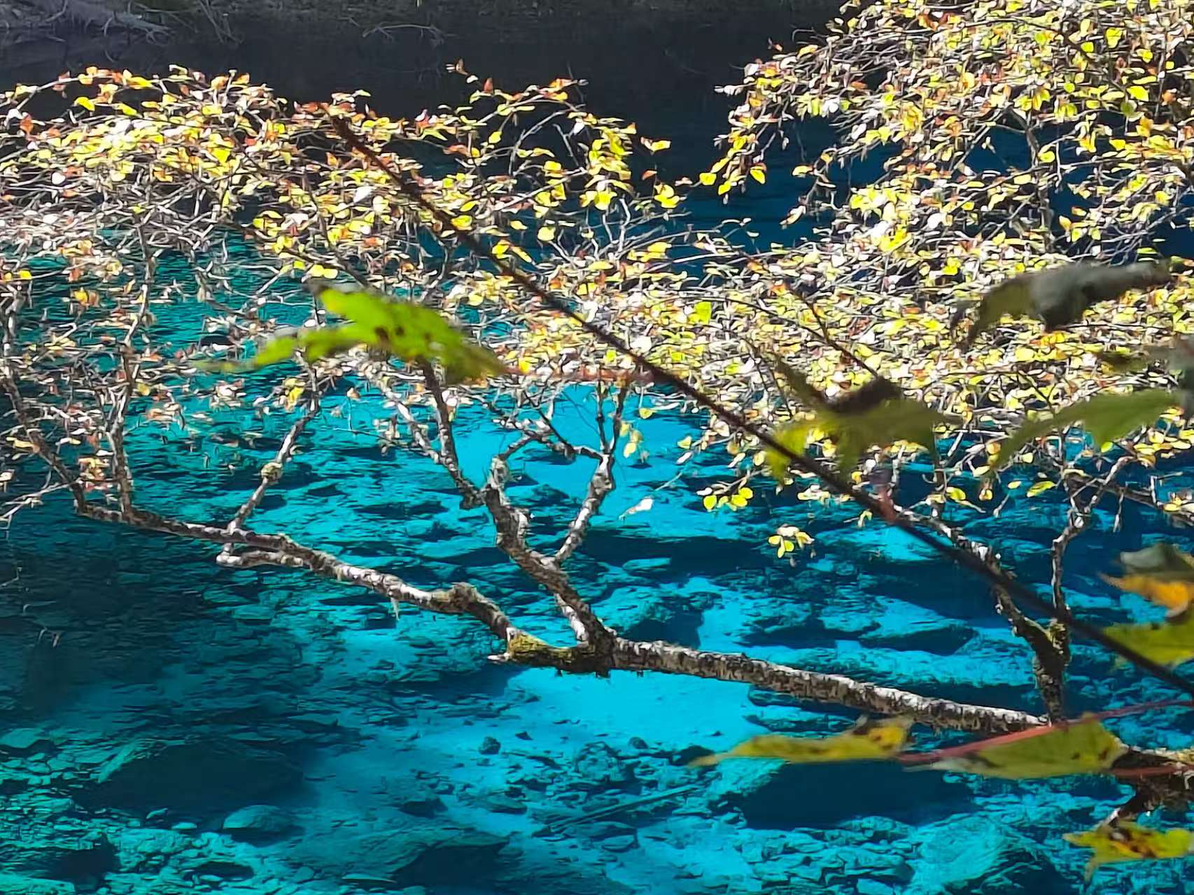 排查JVM OutOfMemoryError:unable to create new native thread